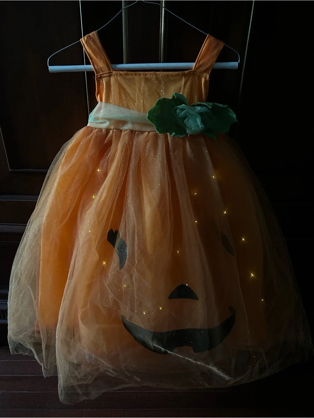 Pottery Barn Kids Light Up Orange Pumpkin Tulle Dress with Green Leaf Accent